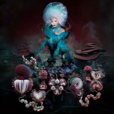 The cover of Fossora by Björk
