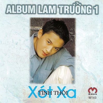 The cover of Tình Thôi Xót Xa by Lam Trường