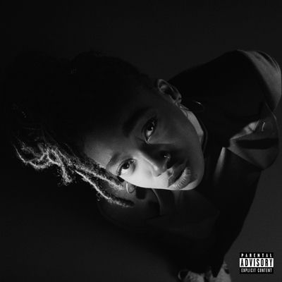 The cover of Grey Area by Little Simz