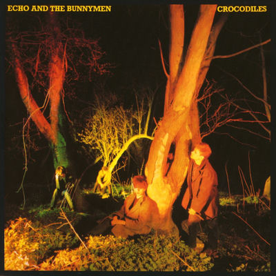 The cover of Crocodiles by Echo And The Bunnymen