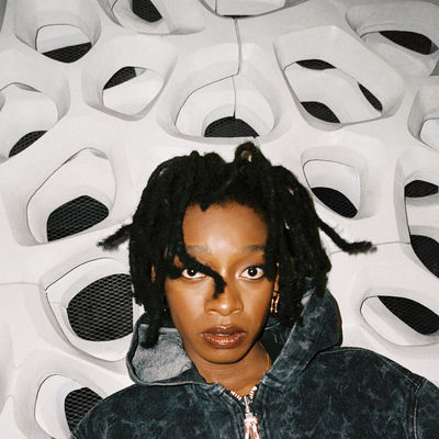 The cover of NO THANK YOU by Little Simz