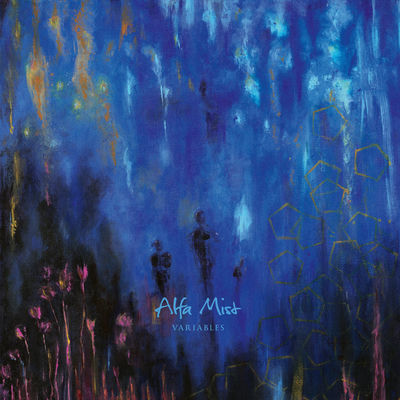 The cover of Variables by Alfa Mist