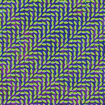 The cover of Merriweather Post Pavilion by Animal Collective