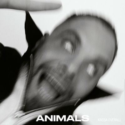 The cover of Animals by Kassa Overall