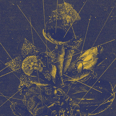 The cover of The Living Collection by Lesley Mok