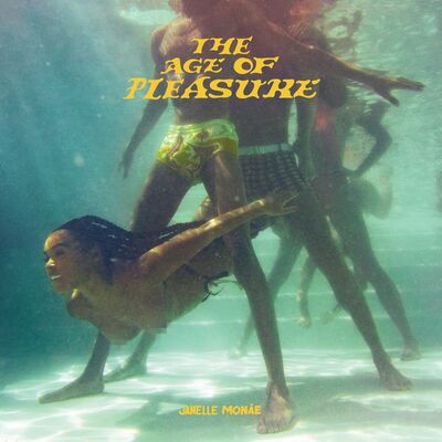 The cover of The Age of Pleasure by Janelle Monáe