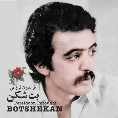 The cover of Botshekan by Fereydoun Foroughi
