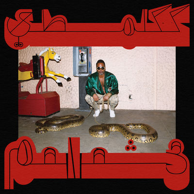 The cover of Robed in Rareness by Shabazz Palaces