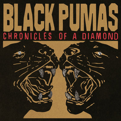 The cover of Chronicles of a Diamond by Black Pumas