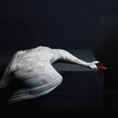 The cover of Mass VI by Amenra