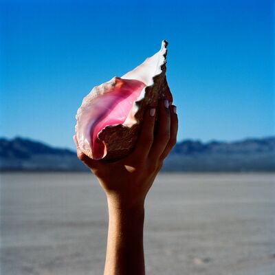 The cover of Wonderful Wonderful by The Killers