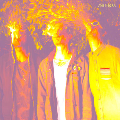 The cover of Ave Negra by Ave Negra