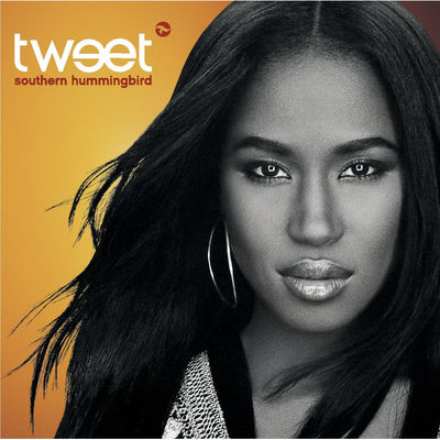 The cover of Southern Hummingbird by Tweet