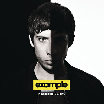The cover of Playing in the Shadows by Example