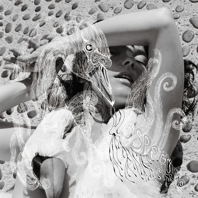 The cover of Vespertine by Björk