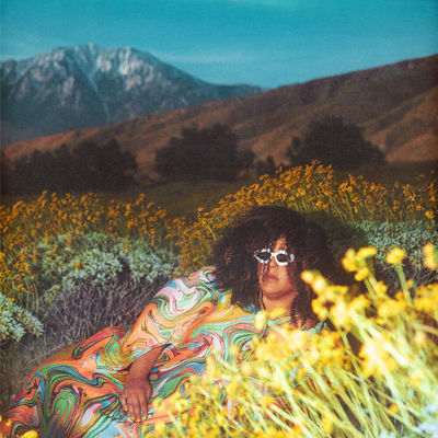 The cover of What Now by Brittany Howard