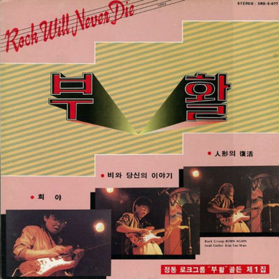 The cover of Rock Will Never Die by Boohwal