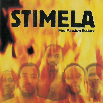 The cover of Fire, Passion and Ecstasy by Stimela