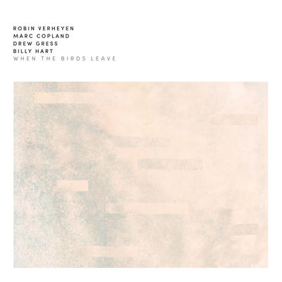 The cover of When the Birds Leave by Robin Verheyen