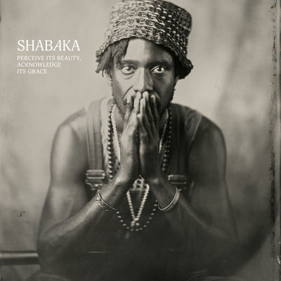 The cover of Perceive Its Beauty, Acknowledge Its Grace by Shabaka