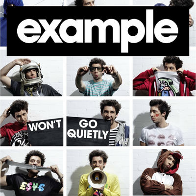 The cover of Won't Go Quietly by Example
