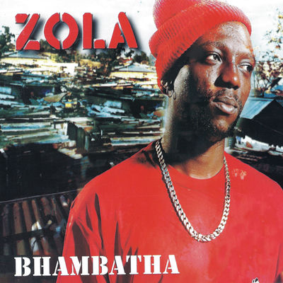 The cover of Bhambatha by Zola