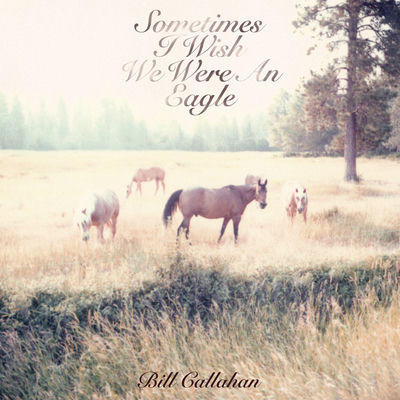 The cover of Sometimes I Wish We Were An Eagle by Bill Callahan
