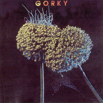 The cover of Gorki by Gorki