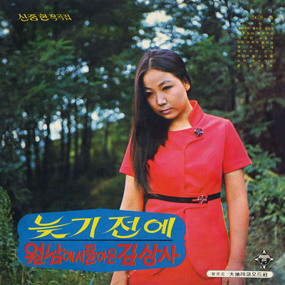 The cover of Before It's Too Late by Kim Choo-ja