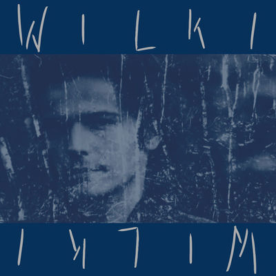 The cover of Wilki by Wilki