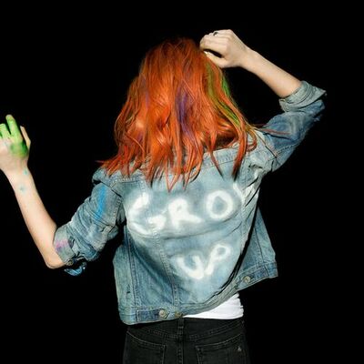 The cover of Paramore by Paramore