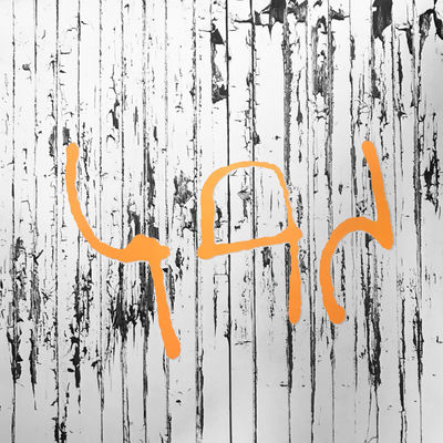 The cover of Zikaza by Zikaza