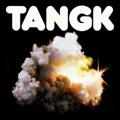 The cover of TANGK by IDLES