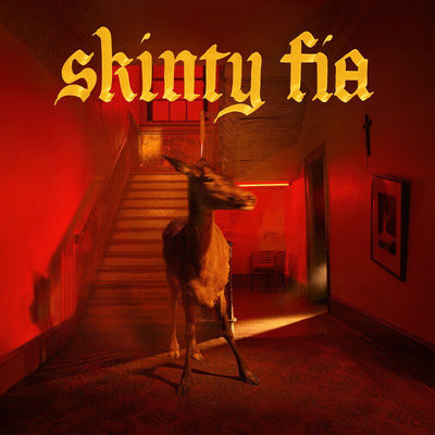 The cover of Skinty Fia by Fontaines D.C.