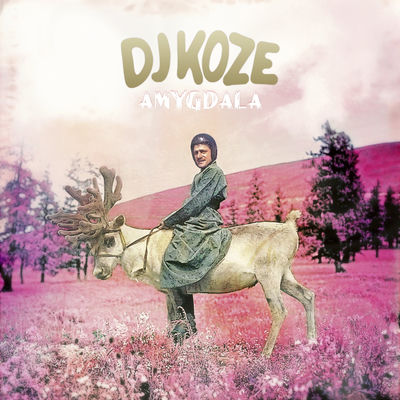 The cover of Amygdala by DJ Koze