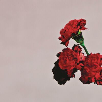 The cover of Love in the Future by John Legend