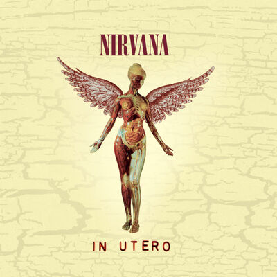 The cover of In Utero by Nirvana