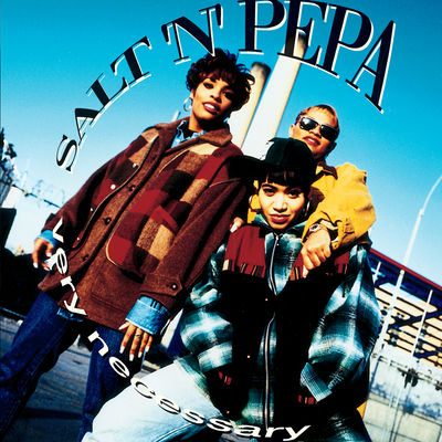 The cover of Very Necessary by Salt-N-Pepa