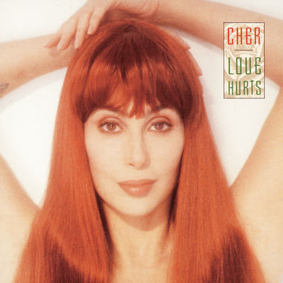 The cover of Love Hurts by Cher