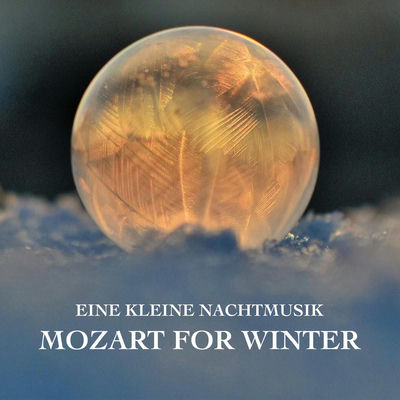 The cover of Eine kleine Nachtmusik by Wolfgang Amadeus Mozart