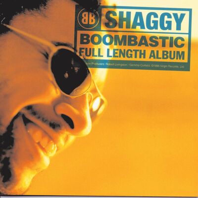The cover of Boombastic by Shaggy
