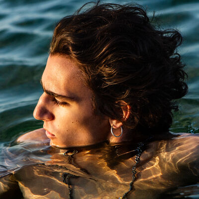 The cover of Amir by Tamino