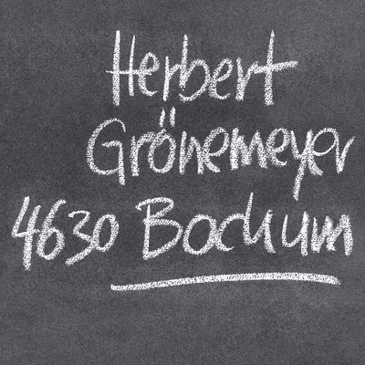 The cover of 4630 Bochum by Herbert Grönemeyer