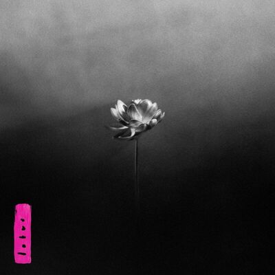 The cover of Lotus by Little Simz