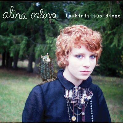 The cover of Laukinis šuo dingo by Alina Orlova