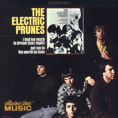 The cover of I Had Too Much to Dream (Last Night) by The Electric Prunes