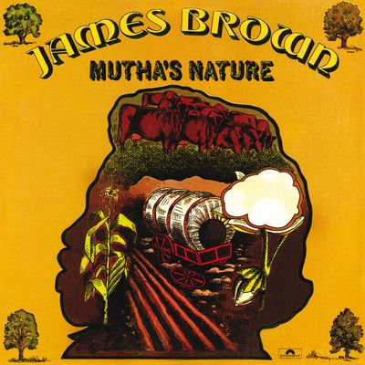 The cover of Mutha's Nature by James Brown