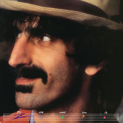 The cover of You Are What You Is by Frank Zappa