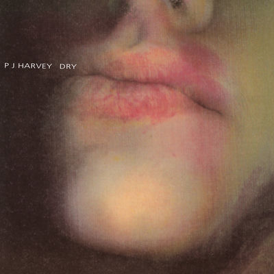 The cover of Dry by PJ Harvey