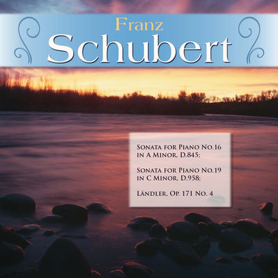 The cover of Piano Sonata in C minor, D958 by Franz Schubert